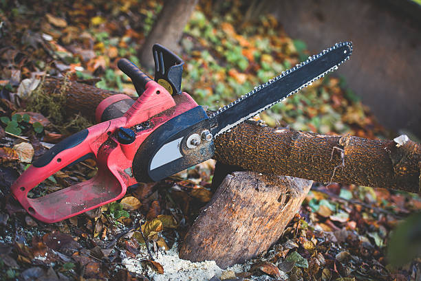 Best Stump Grinding and Removal  in Chattahoochee Hills, GA